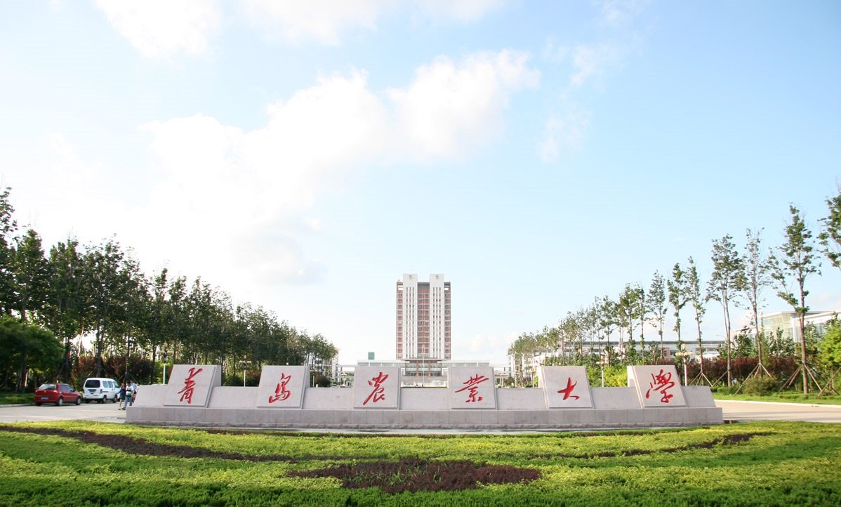 澳菲酒业青岛农业大学宣讲会