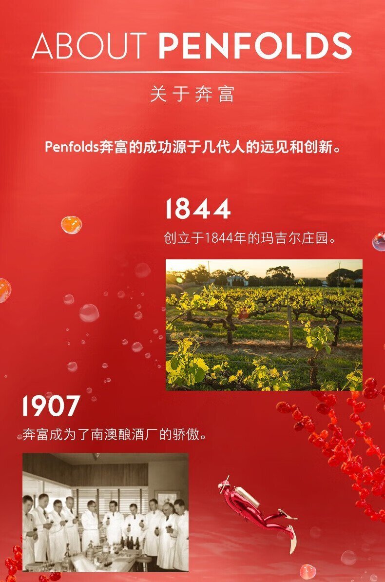 1703663304336740